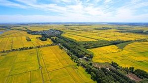 沈陽(yáng)金秋實(shí)農(nóng)資有限公司入選2025年中國(guó)農(nóng)資流通協(xié)會(huì)春耕保供重點(diǎn)農(nóng)資企業(yè)名單